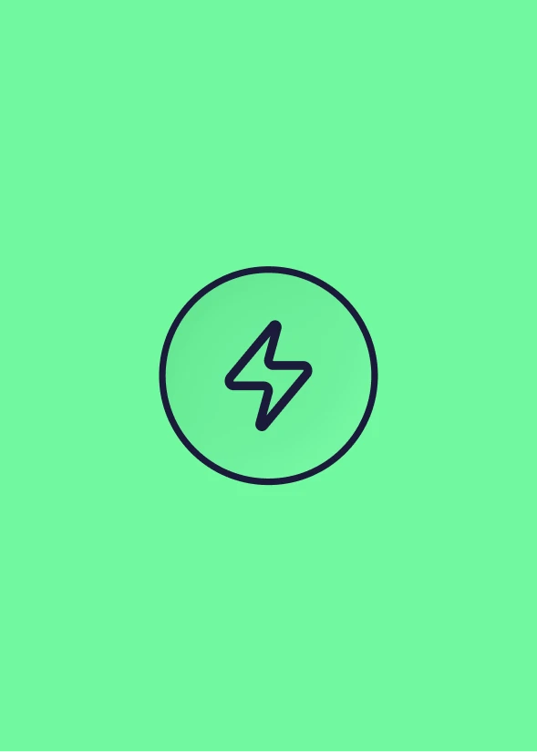 zesty 01 06